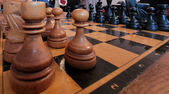 Острогожцев пригласили на шахматный турнир
