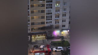 В воронежском ЖК «Дельфин» спасатели эвакуировали 33 человека из загоревшейся многоэтажки