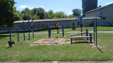 В Воронежской области открылись 250 площадок для подготовки к сдаче норм ГТО