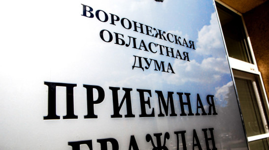 Председатель Воронежской облдумы Владимир Нетесов: в 2023 году мы получили более 5 тыс обращений от жителей региона