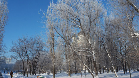 Рождественские выходные принесут в Воронеж сильный мороз
