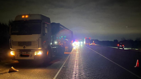 Неизвестный пешеход погибла на трассе под Воронежем