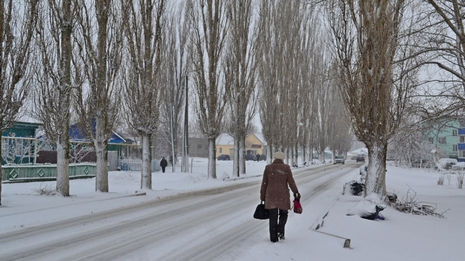 В Грибановском районе 3 апреля выпало 5 см снега