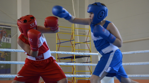 Областной турнир по боксу пройдет в Каширском районе с 6 по 8 мая