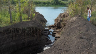 «Природа сильнее». Эксперты оценили шансы восстановления озера Круглое под Воронежем