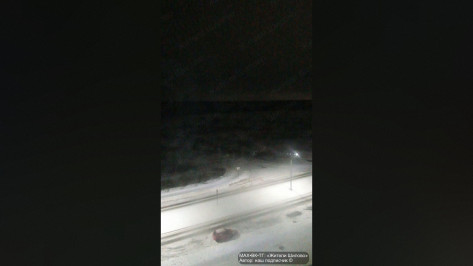 В Воронеже жители Дальних и Ближних Садов жалуются на долгое отсутствие электричества