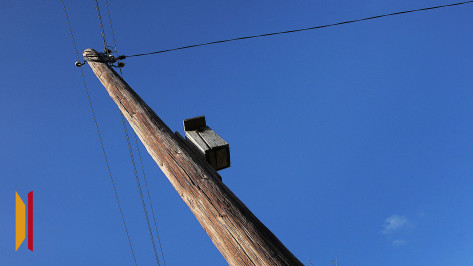 В Воронежской области от растительности расчистят трассы линий электропередачи за 110,7 млн рублей