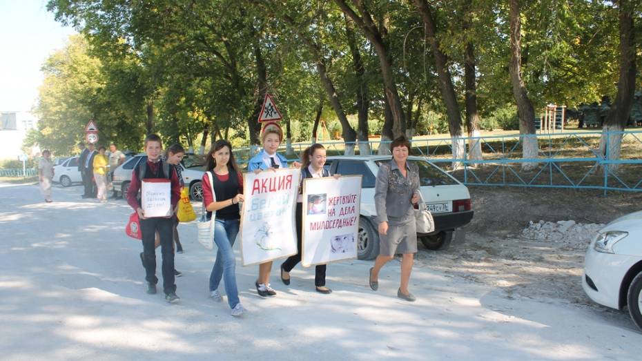 Хохольские школьники собрали 154 тыс. рублей в рамках акции «Белый цветок»