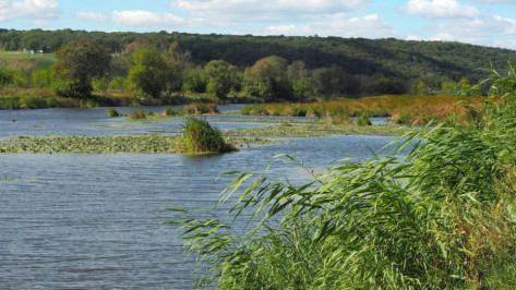 Озеро Круглое под Воронежем получило статус памятника природы 