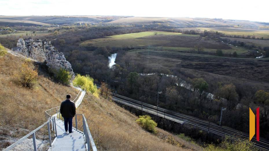 Экскурсионные электрички перевезли в воронежское Дивногорье 8 тыс пассажиров