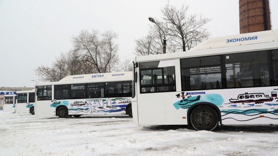 На «народные маршруты» в Воронеже вышли 10 разукрашенных автобусов 
