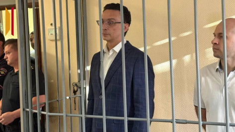 Экс-замминистра предпринимательства, торговли и туризма Воронежской области останется под домашним арестом до 30 октября