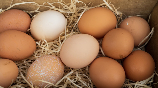 В Воронежской области начали дешеветь куриные яйца