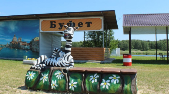 Стоимость турбазы «Сосновый бор» под Воронежем выросла до 314 млн рублей