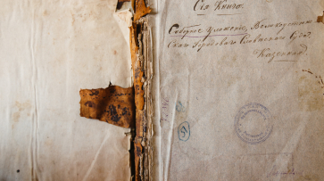 В Воронеже в Никитинскую библиотеку привезут оборудование для реставрации старинных книг