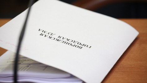 Депутаты приняли бюджет Воронежа во 2-м чтении