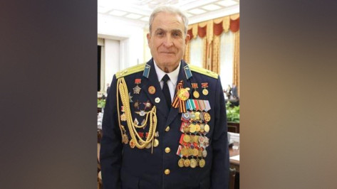 Губернатор поздравил с 85-летием почетного гражданина Воронежа Владимира Михайленко