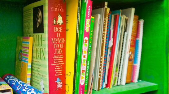 В Иркутской области из библиотек изъяли «Карлсона», «Дюймовочку» и «Колобка»