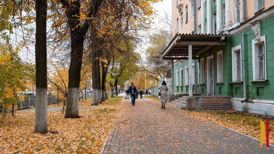 Итоги недели. Что важного произошло в Воронежской области с 20 по 26 октября