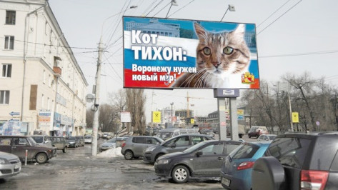 В Воронеже за кресло мэра будет бороться кот