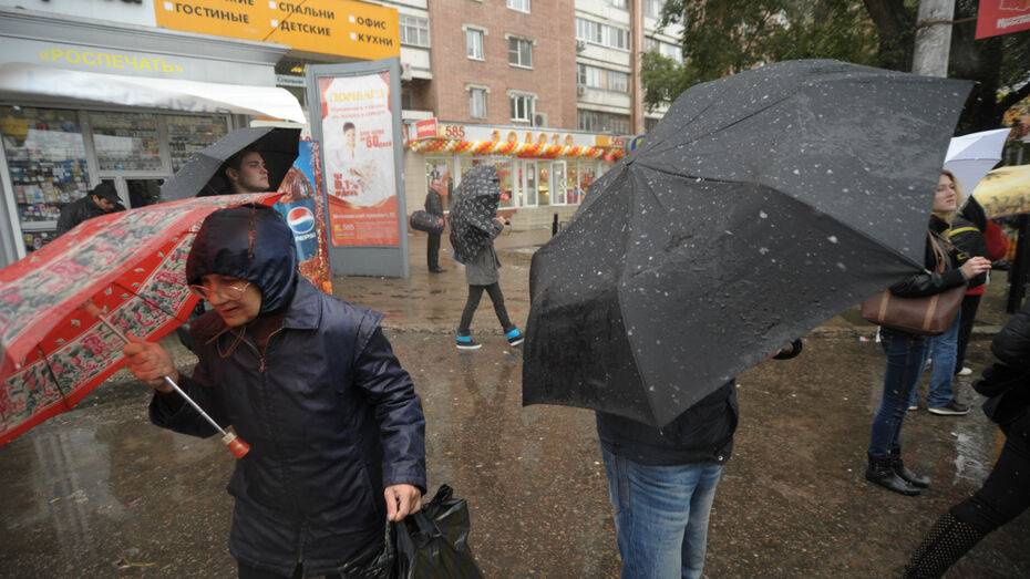 В первые зимние выходные в Воронеже пройдет мокрый снег с дождем