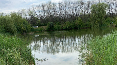 В пруду под Воронежем утонул 32-летний мужчина