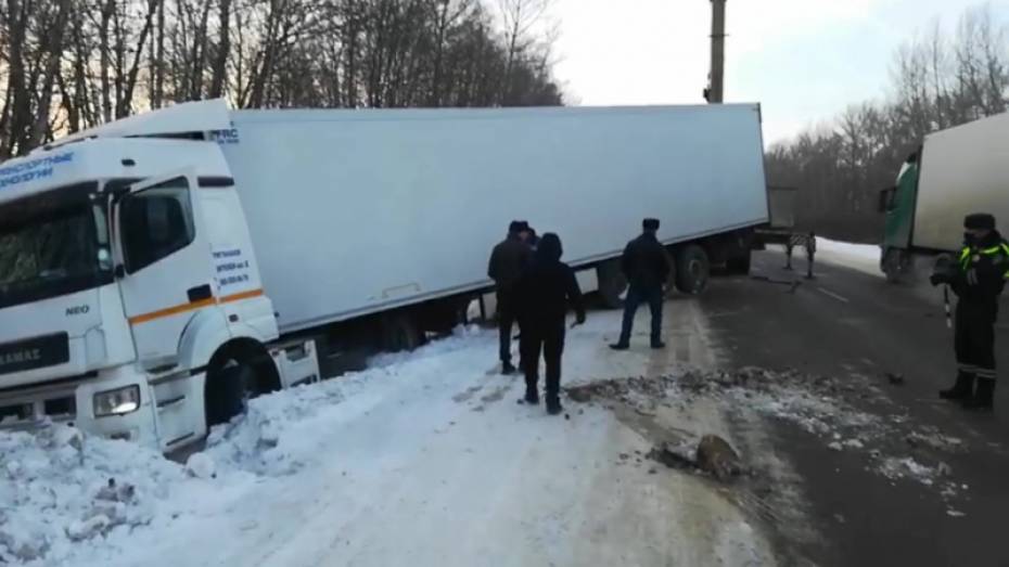 Большегруз с 16 т мандаринов вылетел в кювет в Воронежской области