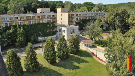 Воронежца ударили электрошокером в санатории имени Горького