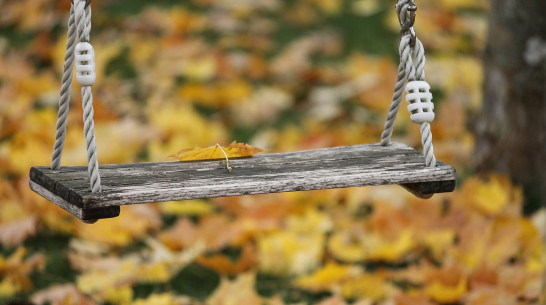 Детские сады Воронежской области продолжат работать очно