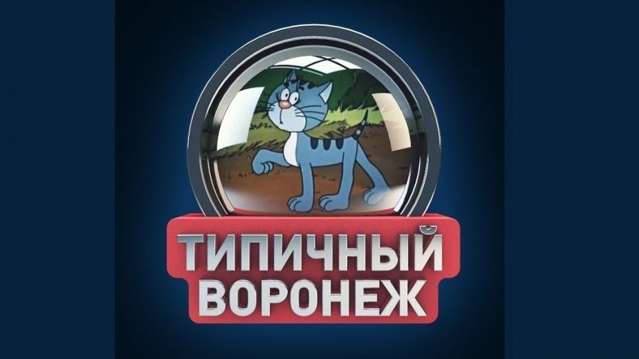 У украденного «Типичного Воронежа» появился дубликат (ОБНОВЛЕНО)
