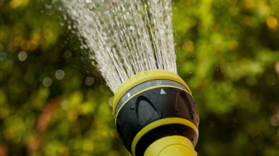 Как в жару в Воронеже спасают газоны