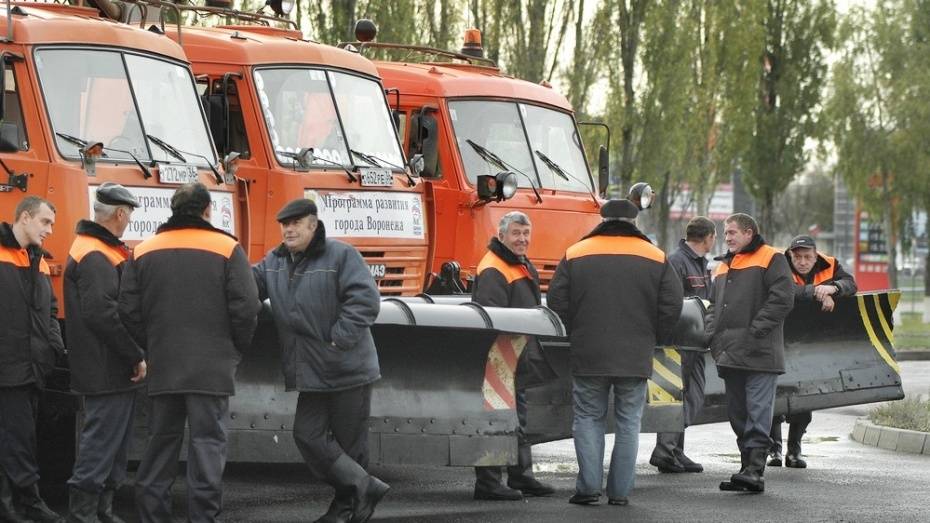 Власти Воронежа направят до 8 млн рублей на закупку коммунальной техники