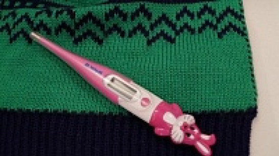 За неделю в Воронежской области на 6,5% стало больше заболевших ОРВИ