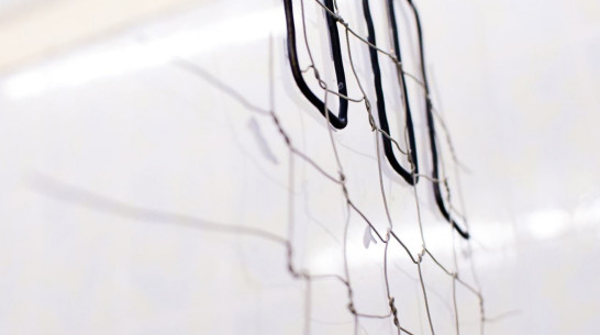 Воронежская художница проведет интерактивный квартирник 