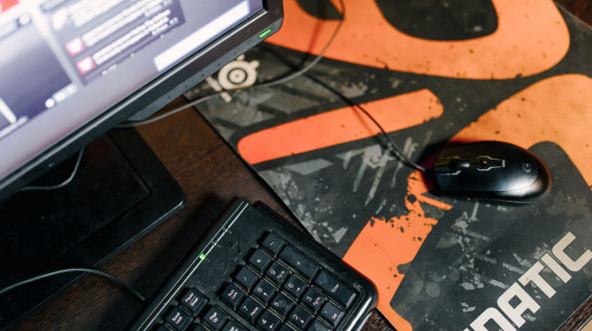 В Воронеже пройдет двухдневный кибертурнир