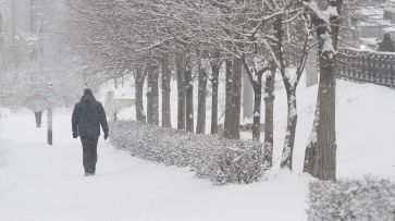 Ежедневный снегопад ожидается в Воронеже на рабочей неделе