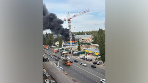 Черные клубы дыма: пожар на левом берегу в Воронеже сняли на видео