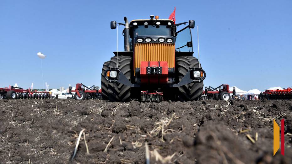 В Воронежской области отменили режим ЧС из-за гибели урожая