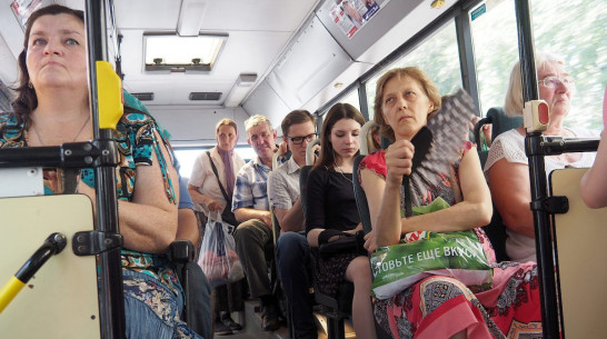 Плата за качество. Поможет ли подорожание проезда в Воронеже обновлению автобусов