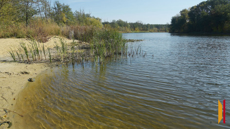 Четыре человека утонули на водоемах в Воронежской области