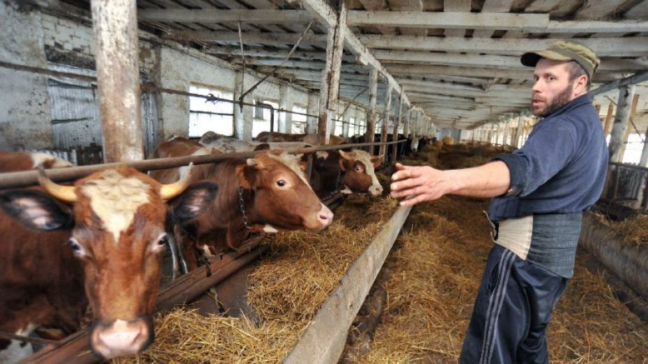 Губернатор призвал воронежских фермеров заявить о себе на мировом рынке