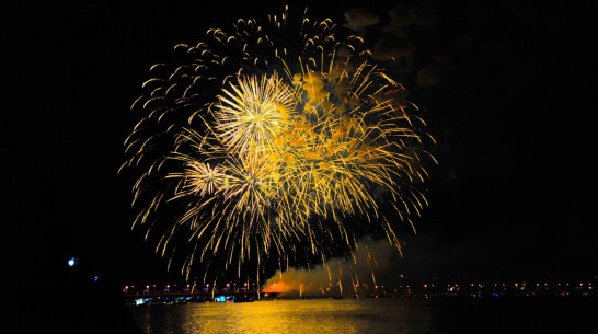 Власти Воронежа оценили салют на День города в 2 млн рублей