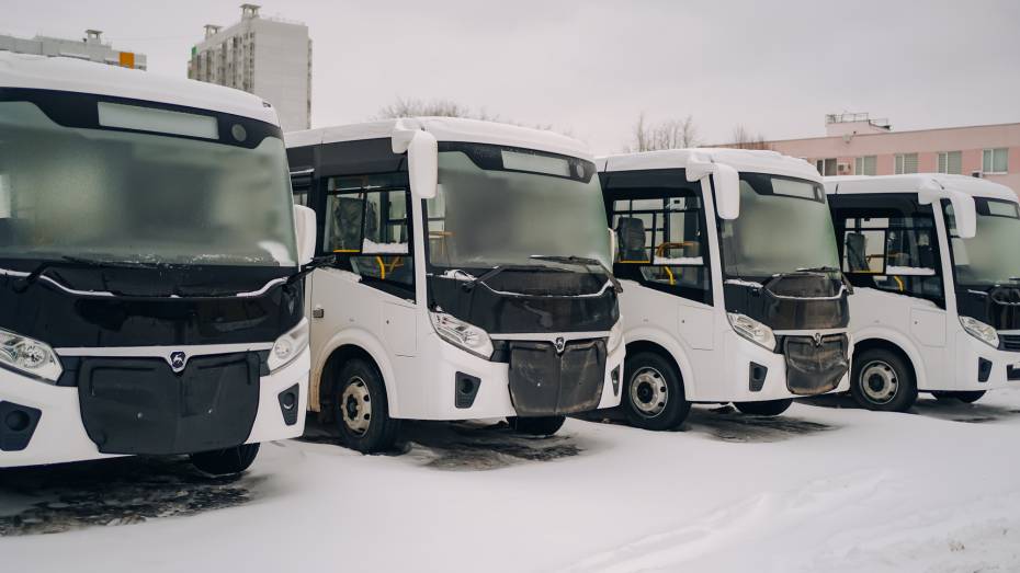 Воронежский перевозчик вывел на линии 5 новых автобусов взамен ПАЗов