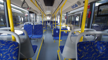 В Воронеже закупят 817 автобусов и 99 троллейбусов к 2030 году