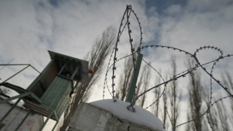 Амнистия в Воронежской области коснется почти 3 тысяч человек