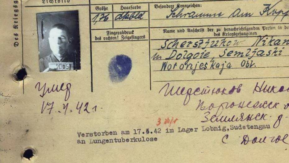 Пенсионерка из Ленобласти объявила поиски родных погибшего в немецком плену воронежца