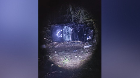 В Воронежской области «Лада Приора» съехала с дороги и опрокинулась: погибла женщина