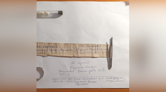 Поисковики попросили найти потомков погибшего в 1943 году под Орлом воронежского красноармейца