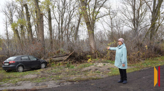 В подгоренском поселке Опыт матери ветерана СВО помогли благоустроить территорию у дома