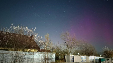 Северное сияние заметили в небе над Воронежской областью в ночь на 17 апреля